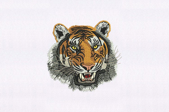 Wild Tiger Face